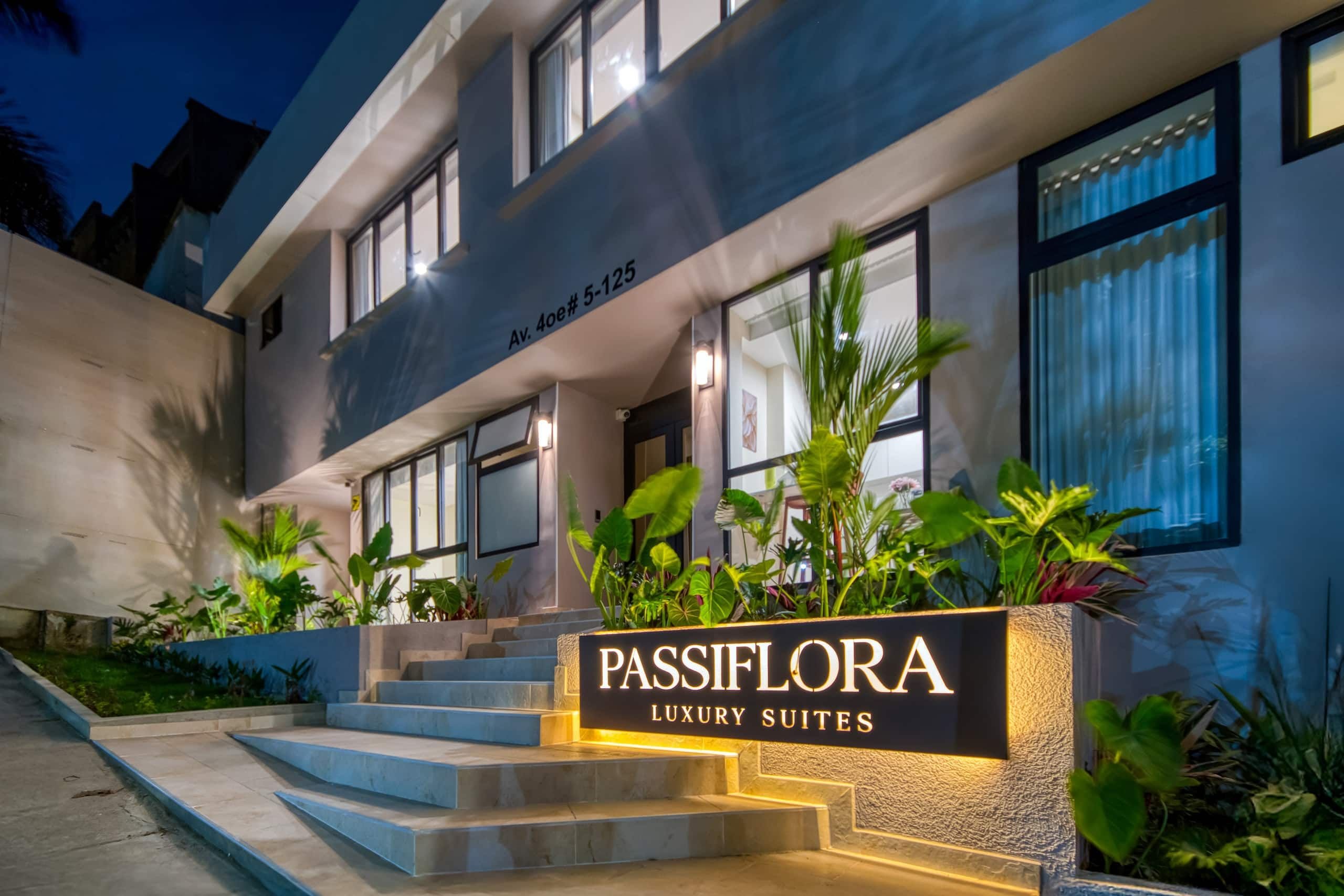 Paz Floral living